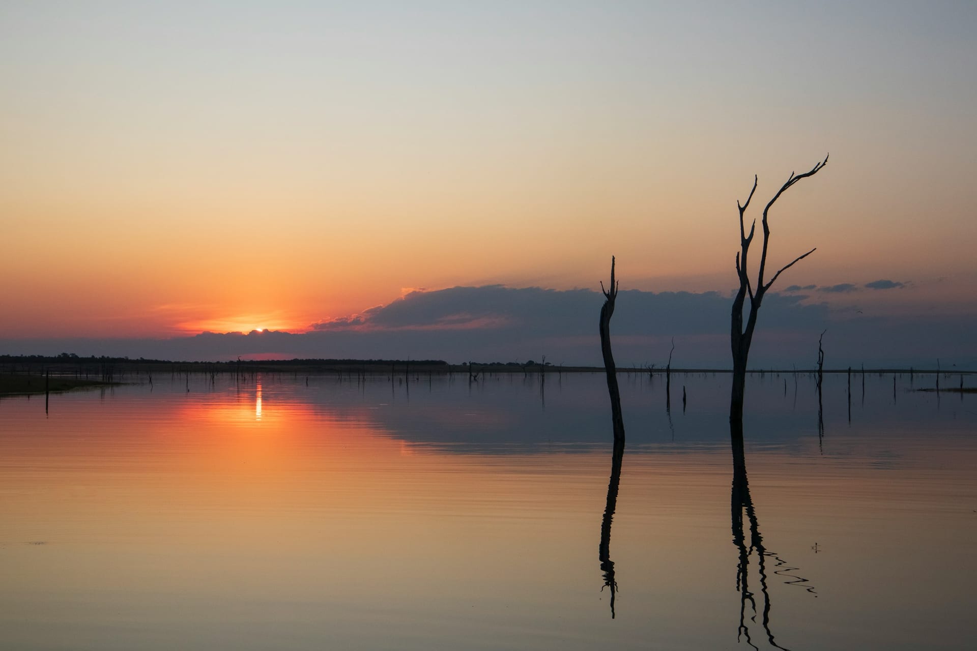Sonnenuntergang über einem stillen See, die Sonne und zwei kahle Bäume spiegeln sich im Wasser